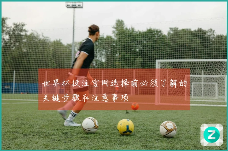 世界杯投注官网选择前必须了解的关键步骤和注意事项