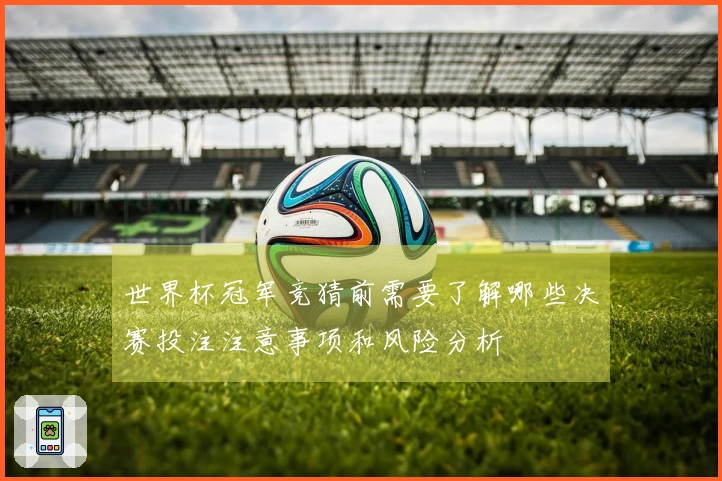 世界杯冠军竞猜前需要了解哪些决赛投注注意事项和风险分析