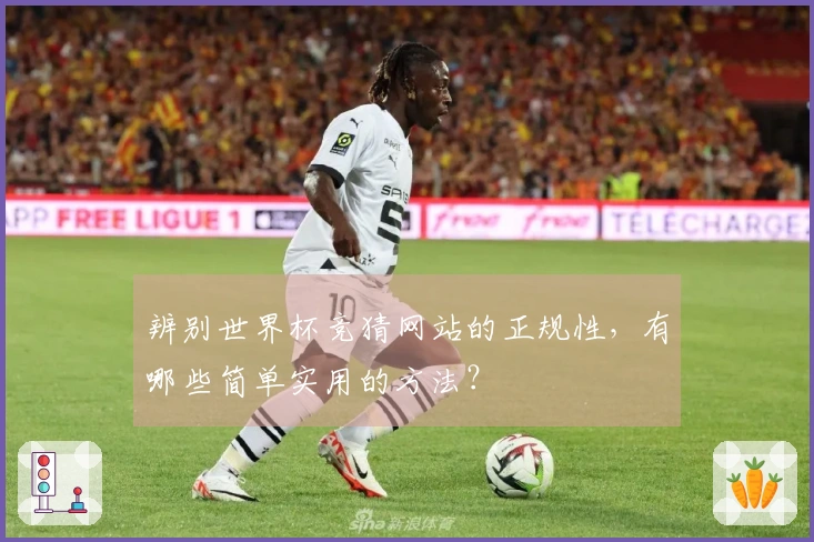 辨别世界杯竞猜网站的正规性，有哪些简单实用的方法？
