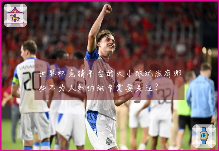 世界杯竞猜平台的大小球玩法有哪些不为人知的细节需要关注？