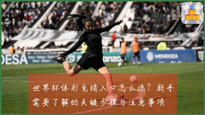 世界杯体彩竞猜入口怎么选？新手需要了解的关键步骤与注意事项