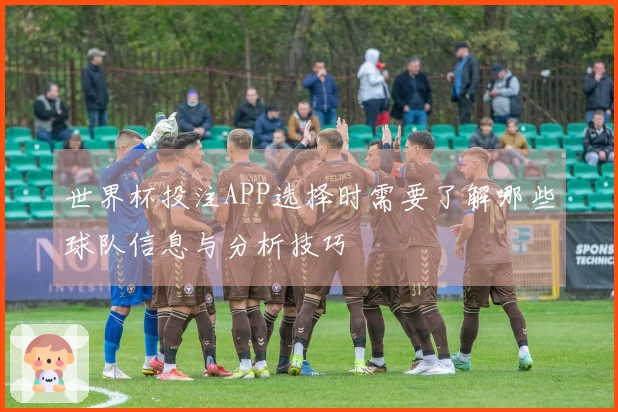 世界杯投注APP选择时需要了解哪些球队信息与分析技巧