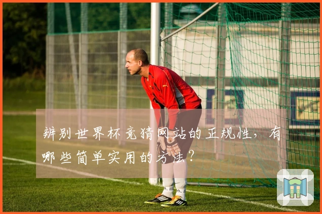 辨别世界杯竞猜网站的正规性，有哪些简单实用的方法？