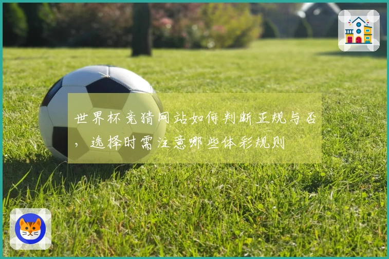 世界杯竞猜网站如何判断正规与否，选择时需注意哪些体彩规则