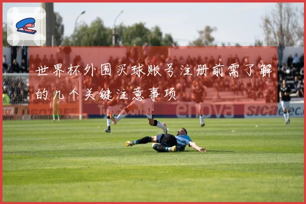 世界杯外围买球账号注册前需了解的几个关键注意事项