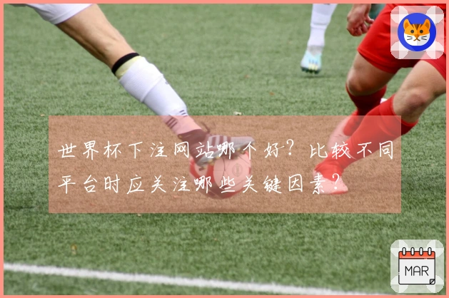 世界杯下注网站哪个好？比较不同平台时应关注哪些关键因素？