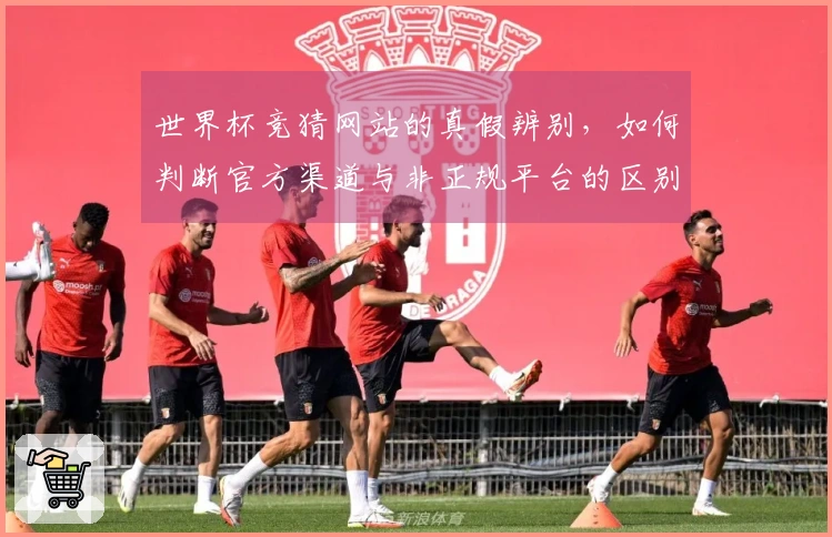 世界杯竞猜网站的真假辨别，如何判断官方渠道与非正规平台的区别