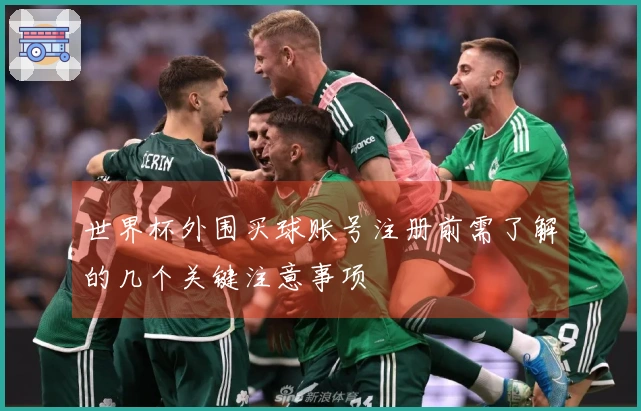 世界杯外围买球账号注册前需了解的几个关键注意事项