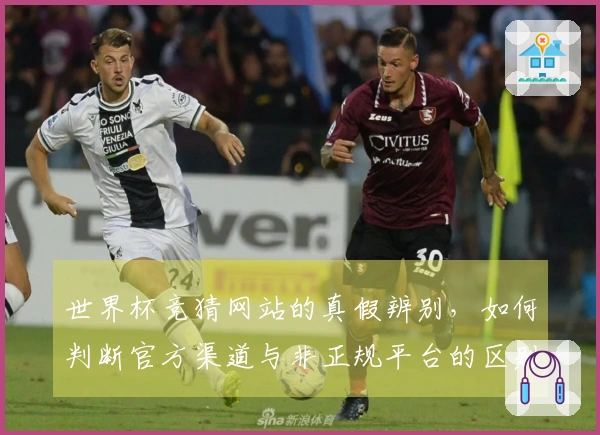 世界杯竞猜网站的真假辨别，如何判断官方渠道与非正规平台的区别