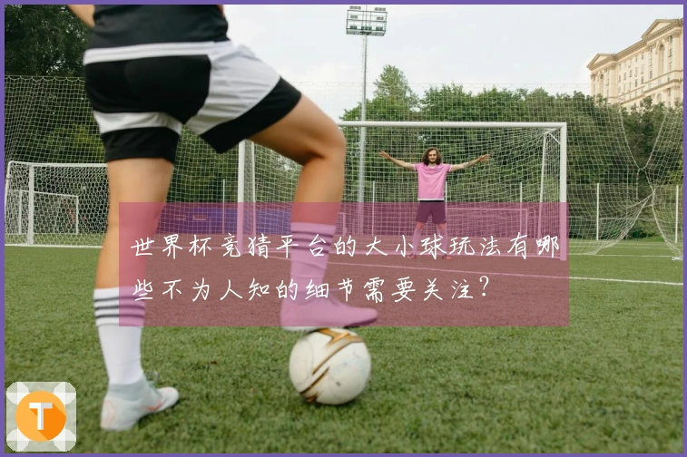 世界杯竞猜平台的大小球玩法有哪些不为人知的细节需要关注？