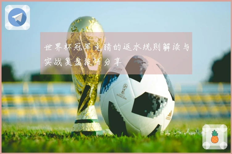 世界杯冠军竞猜的返水规则解读与实战复盘技巧分享